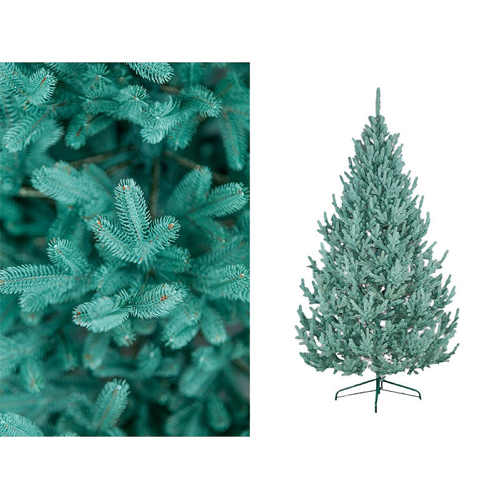 Brad Vienez albastru 210cm, 771ramuri, PE