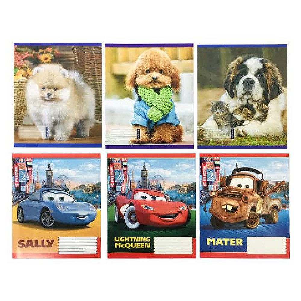 Caiet 12foi color patrat