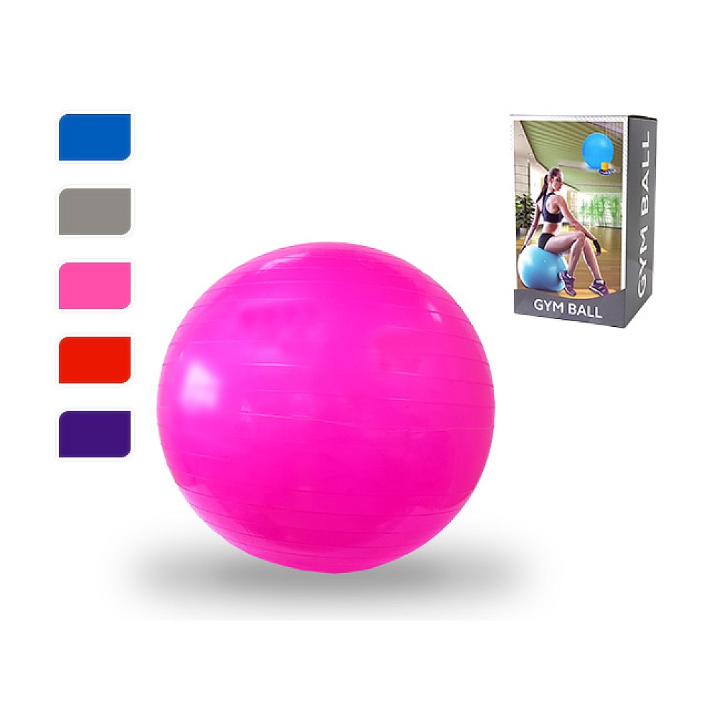 Minge fitness 65cm + pompa