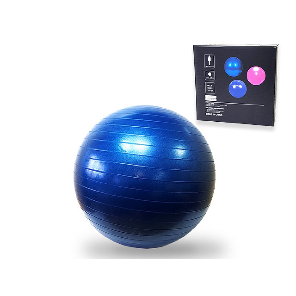 Minge fitness Profit 55cm + pompa