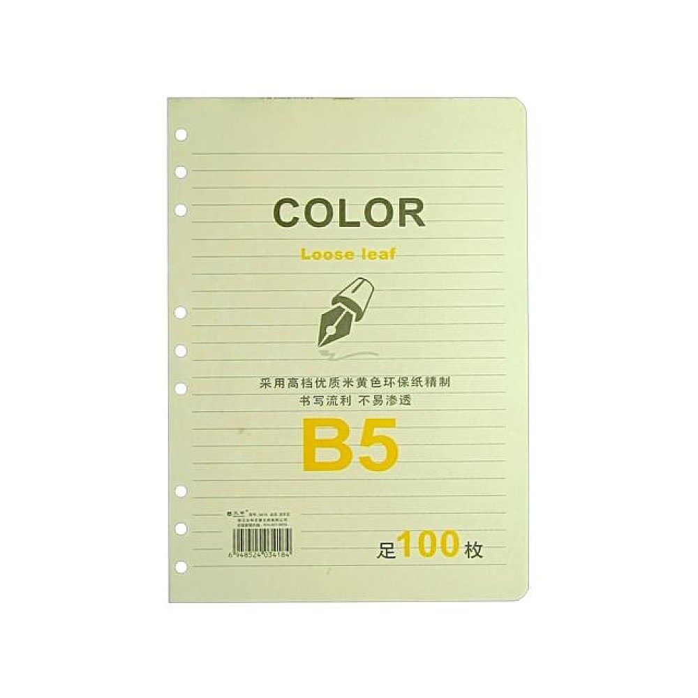 Set foi de rezerva pentru agenda B5, 17X25cm, 100f