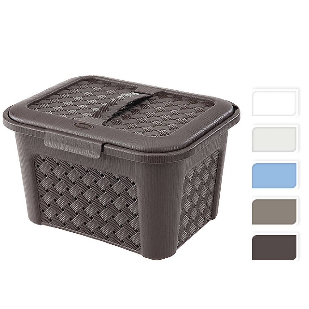 Cutie de depozitare Arianna 5.6l, 27.6Х21.8Х17.2cm