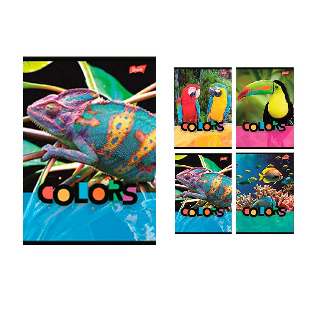 Caiet A5 32 foi patratele Exotic Colors