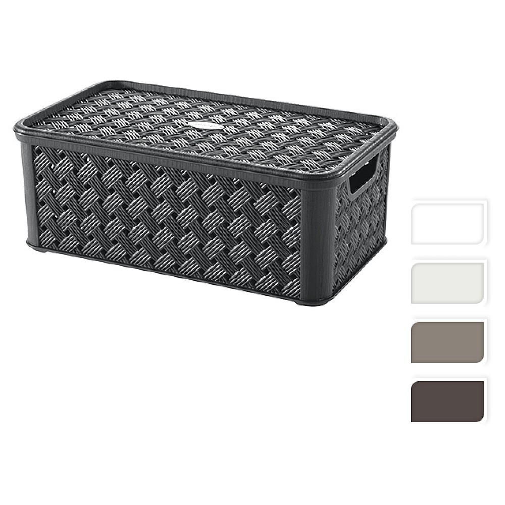 Cutie de depozitare Arianna 4l, 16.6Х29Х11.2cm