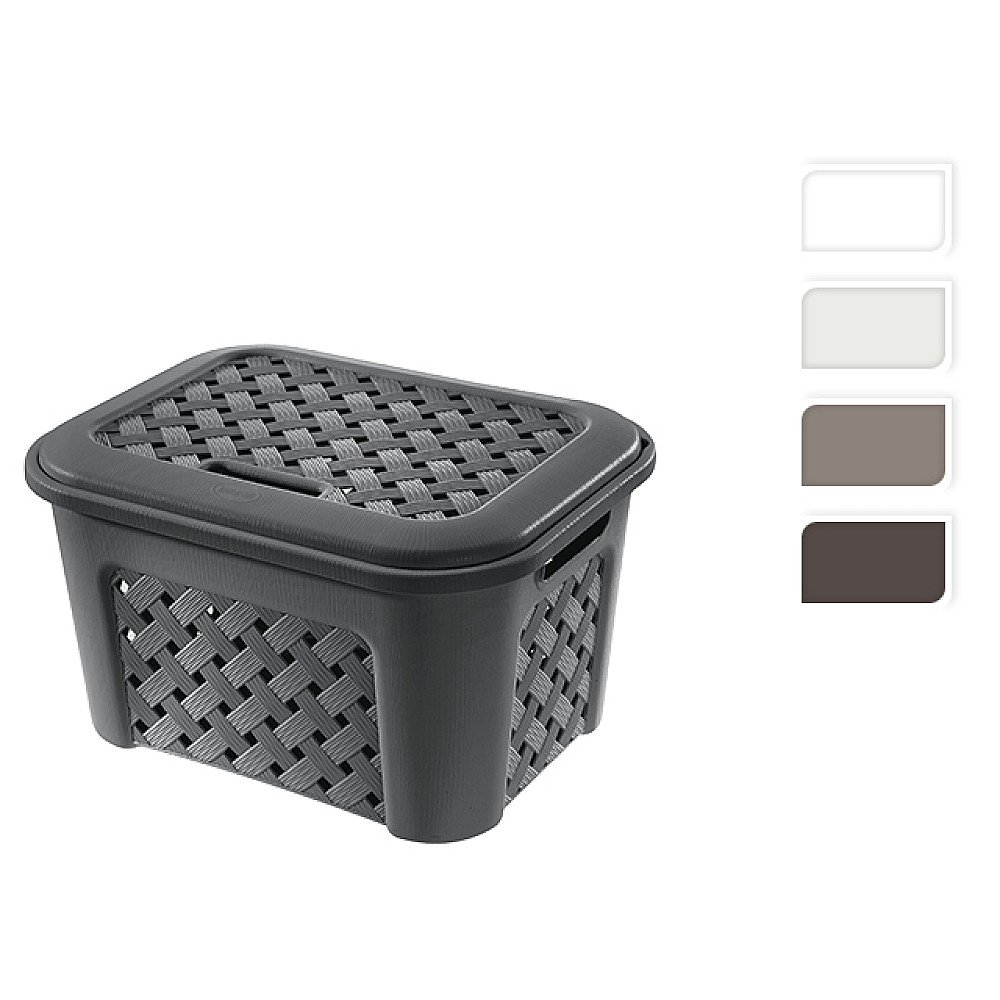 Cutie de depozitare Arianna 23.6l, 43.5Х33.5Х26cm