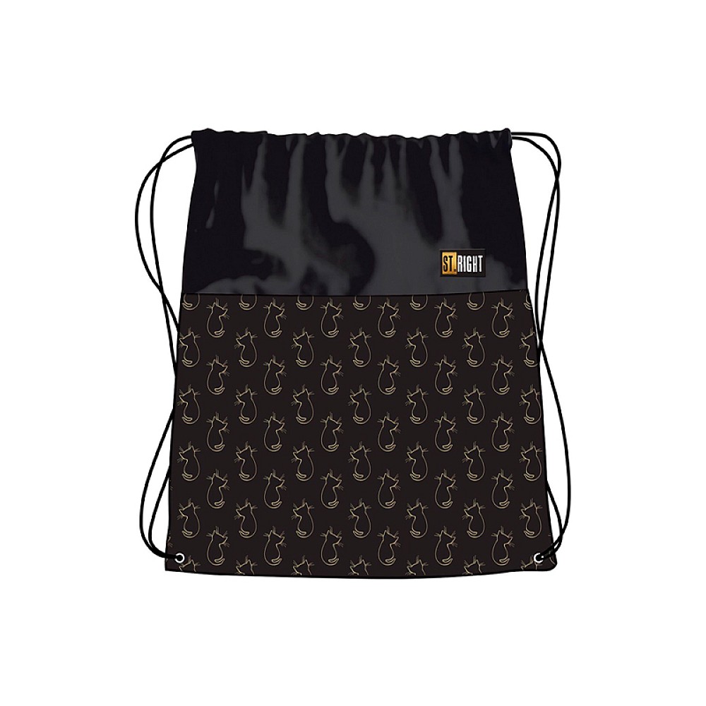 Geanta-rucsac pentru incaltaminte Golden Cats 34X43 cm