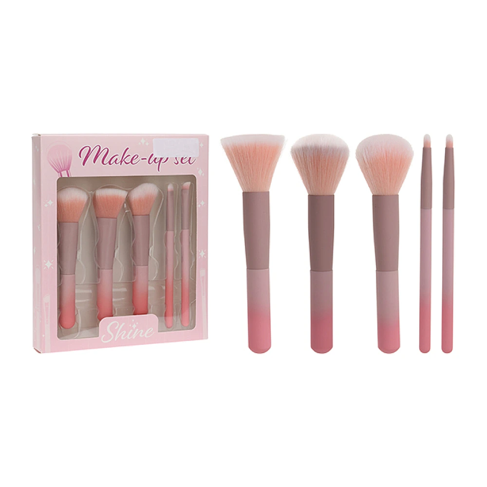 Set pensule pentru machiaj Shine 5buc
