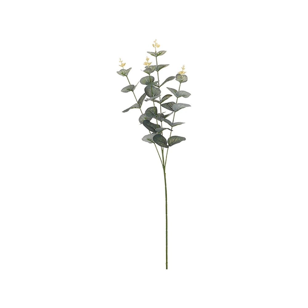 Ramura decorativa 