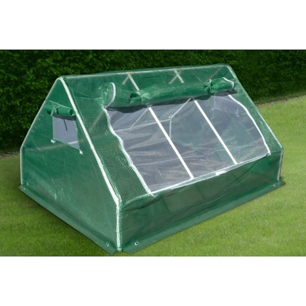 Sera plianta, 1.8Х1.42cm, H93cm