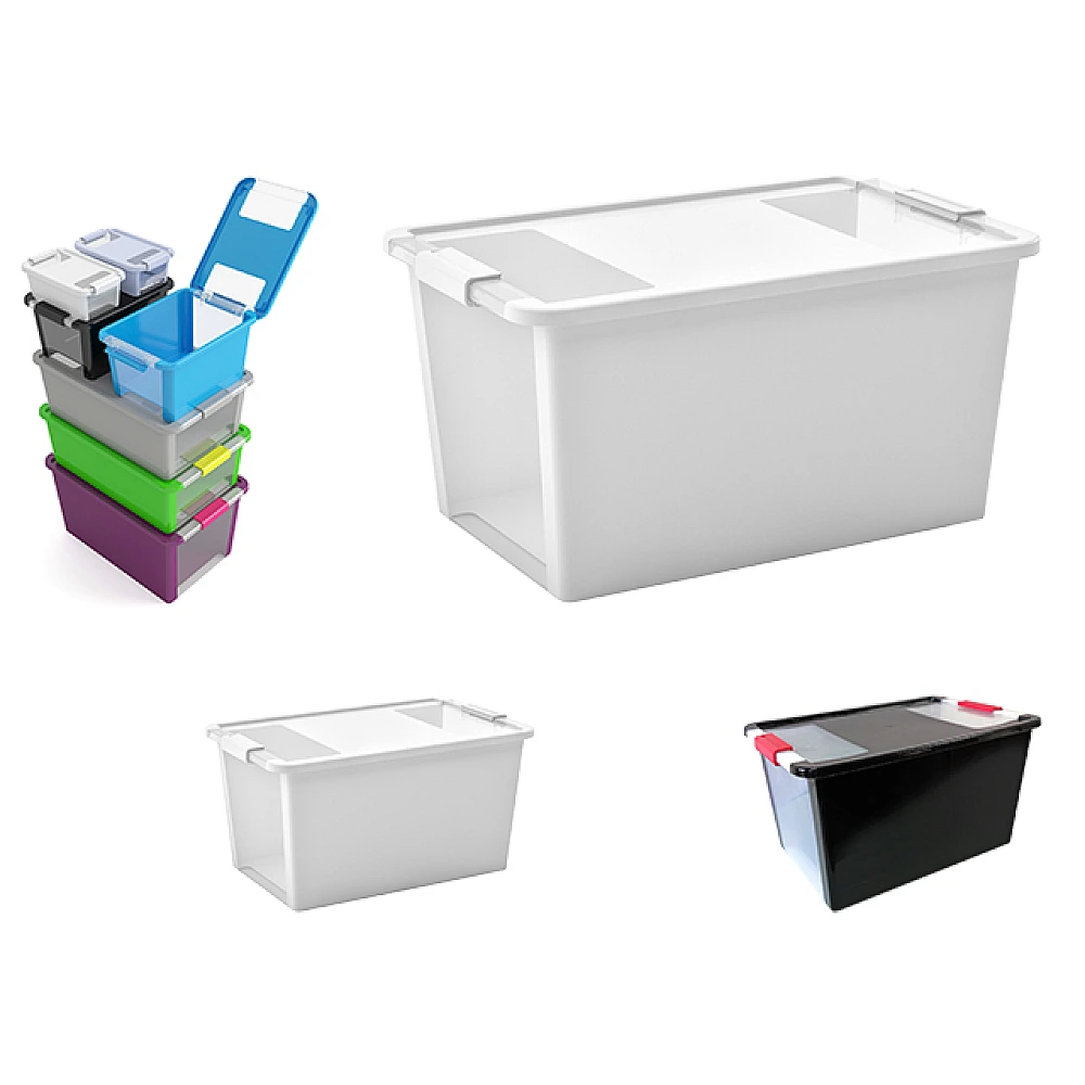 Cutie cu capac Bi-box L 40l, 55X35XH28cm