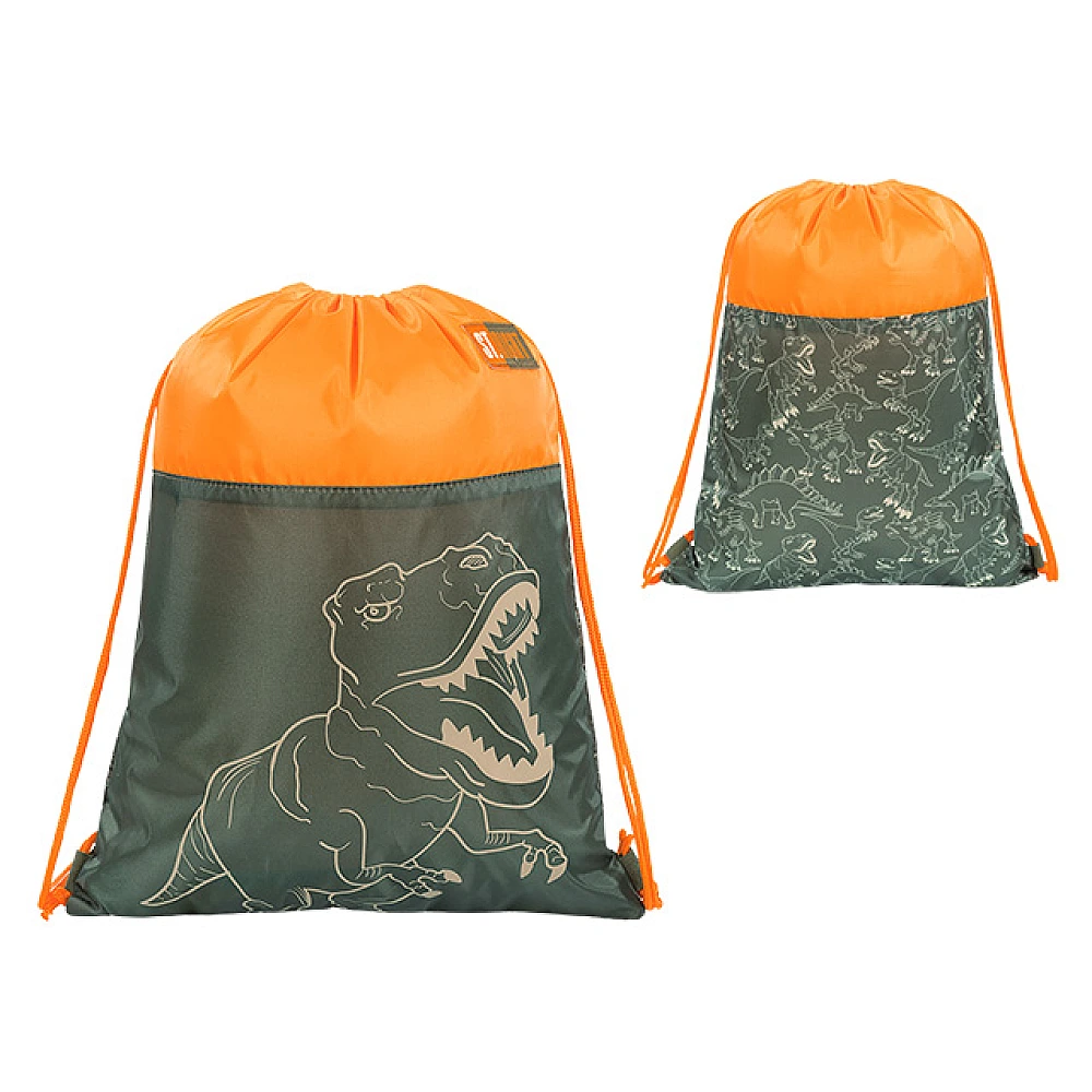 Geanta-rucsac pentru incaltaminte T-Rex Junior 43X34cm