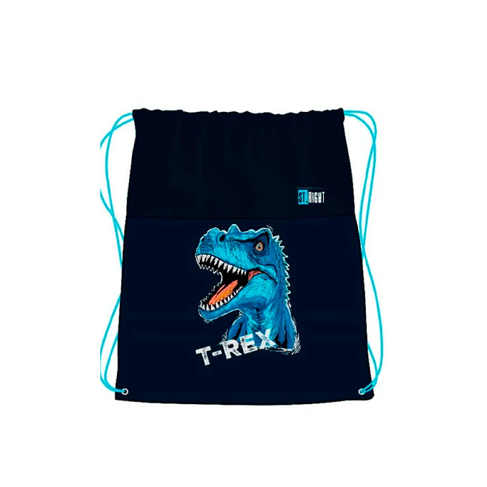 Geanta-rucsac pentru incaltaminte Blue T-Rex 43X34 cm