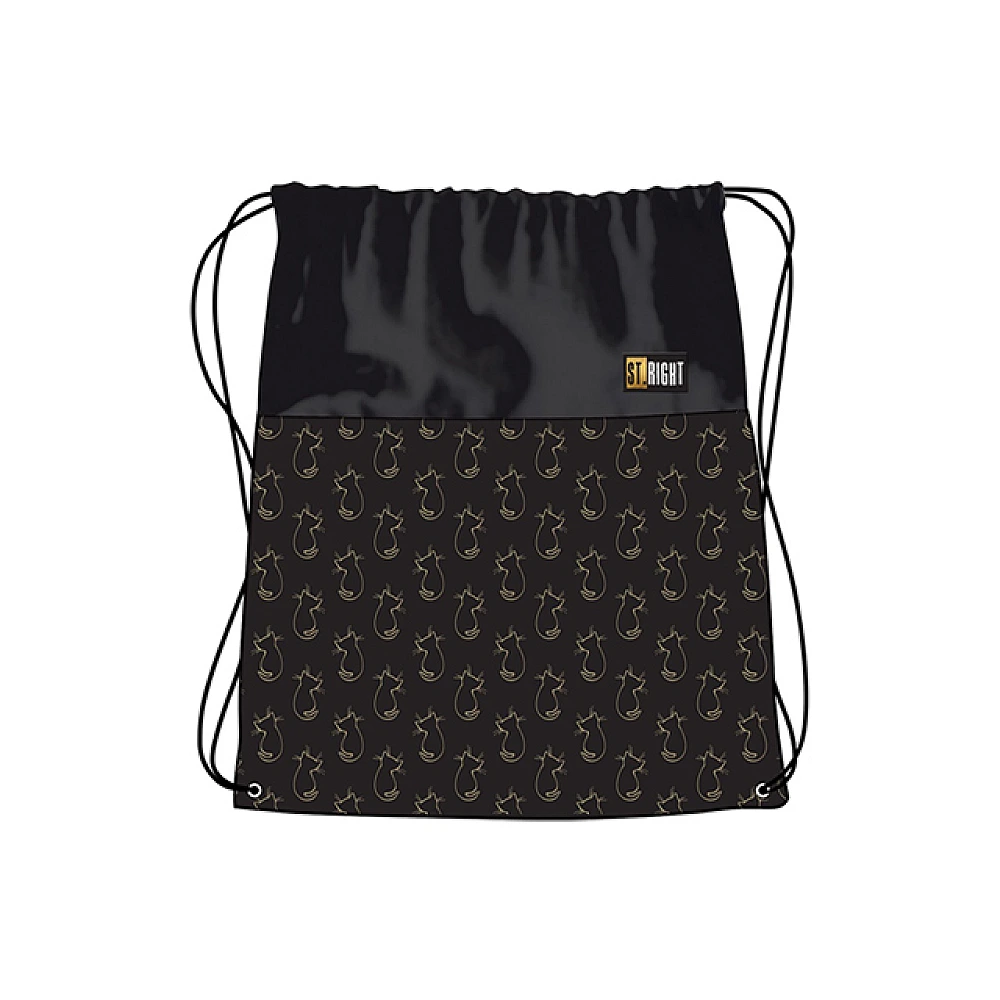 Geanta-rucsac pentru incaltaminte Golden Cats 34X43 cm