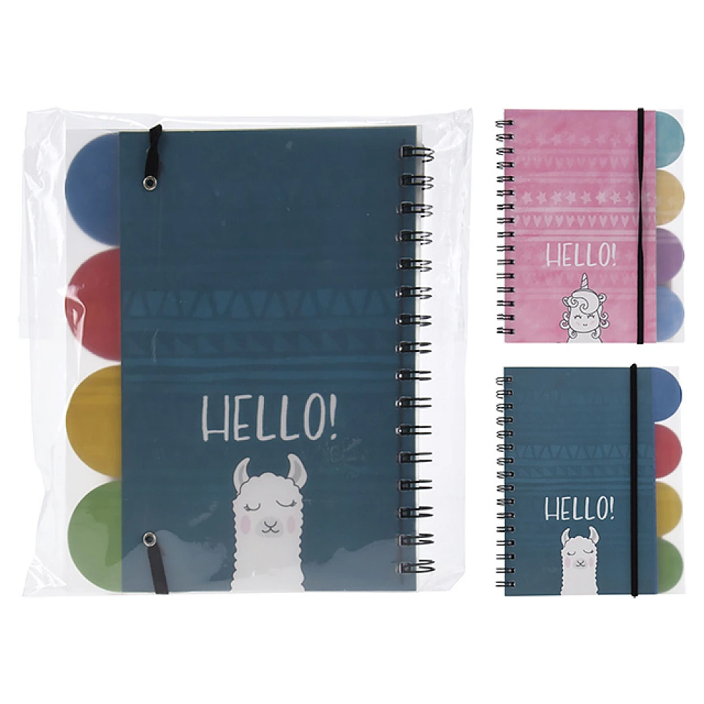 Carnet spiralat cu inele duble și bandă elastică, 21.5X17cm, 80 foi