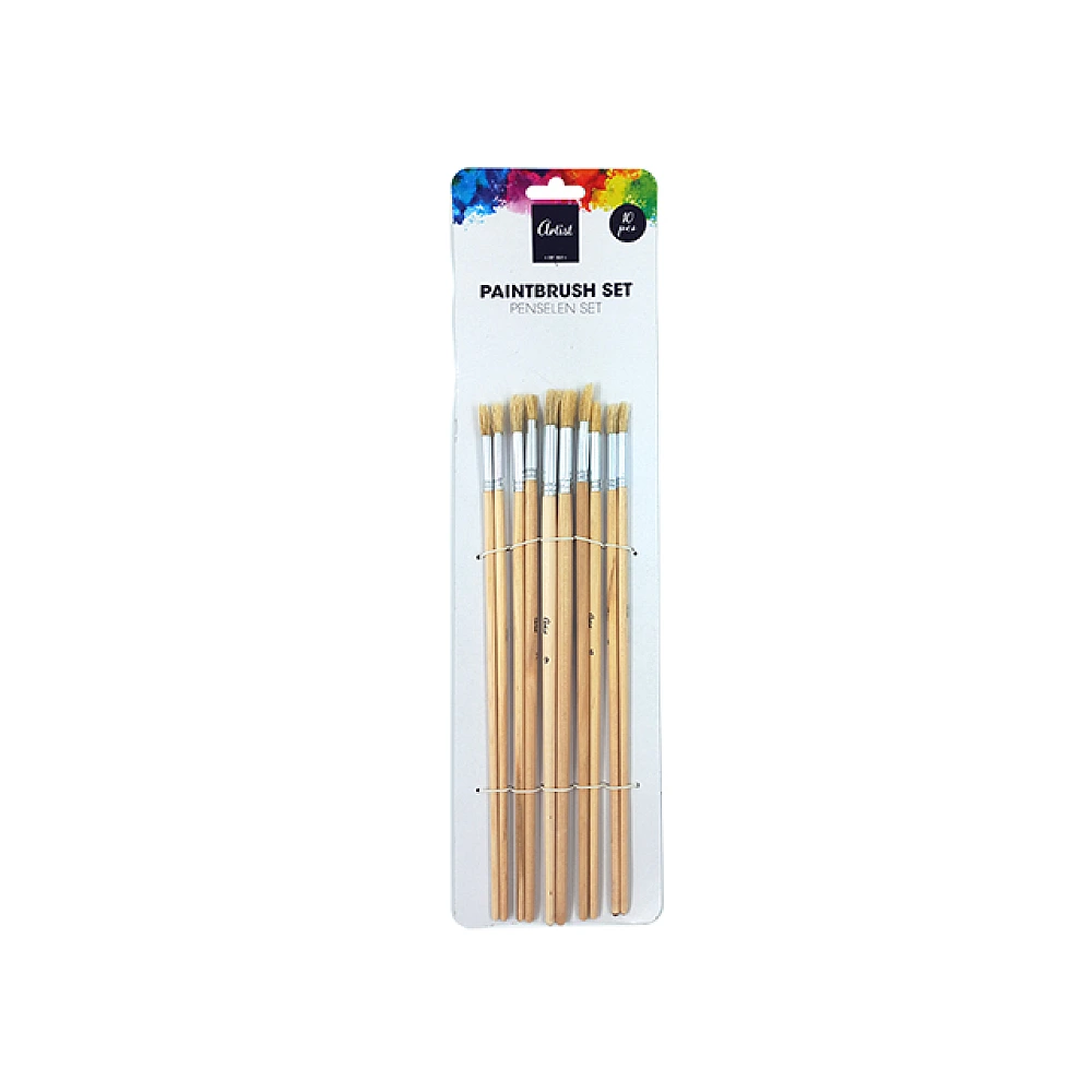 Set pensule pentru desen Artist 10buc, maner din lemn
