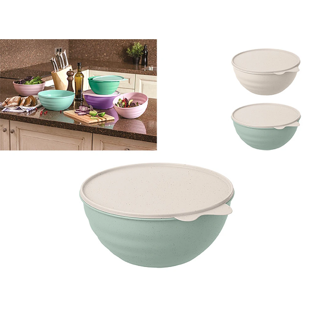 Castron din plastic cu capac Phibo 2.8l, 24.5cm
