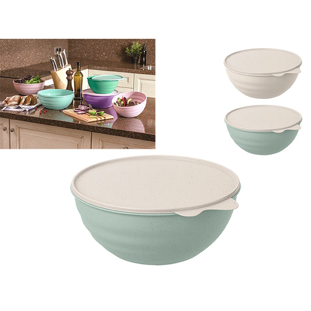 Castron din plastic cu capac Phibo 3.7l, 27cm