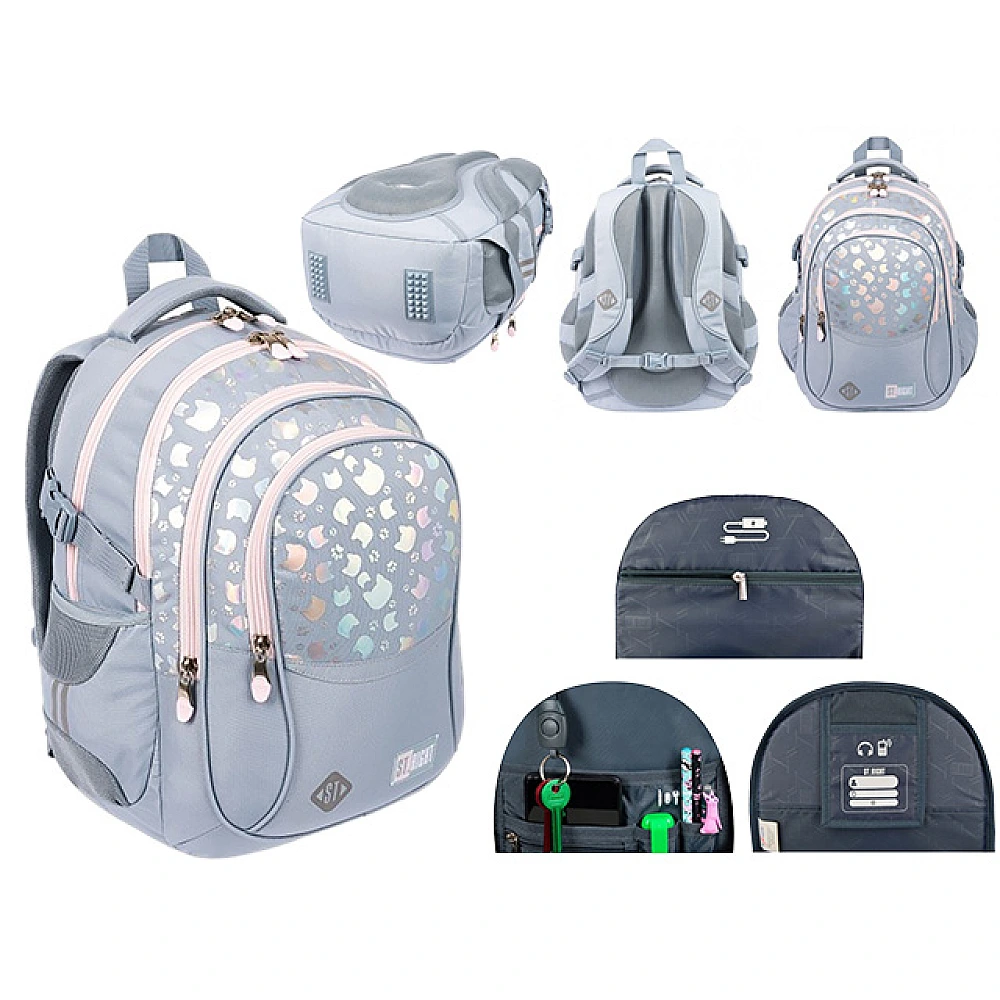 Ghiozdan Silver Cats