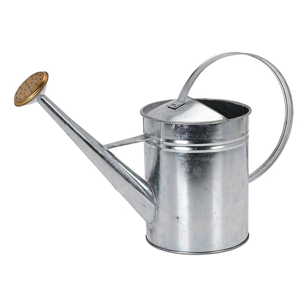 Stropitoare din metal 1.9l