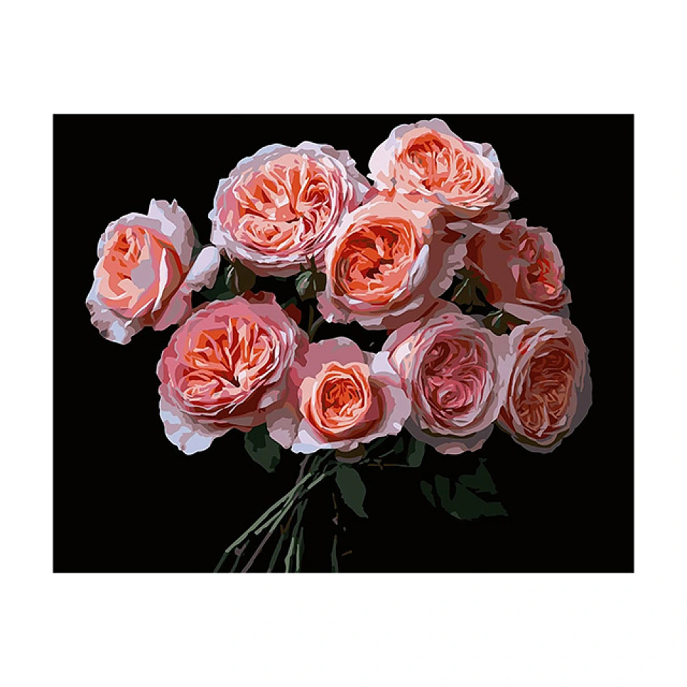 Pictura dupa numere 40X50 cm fundal negru Flori  