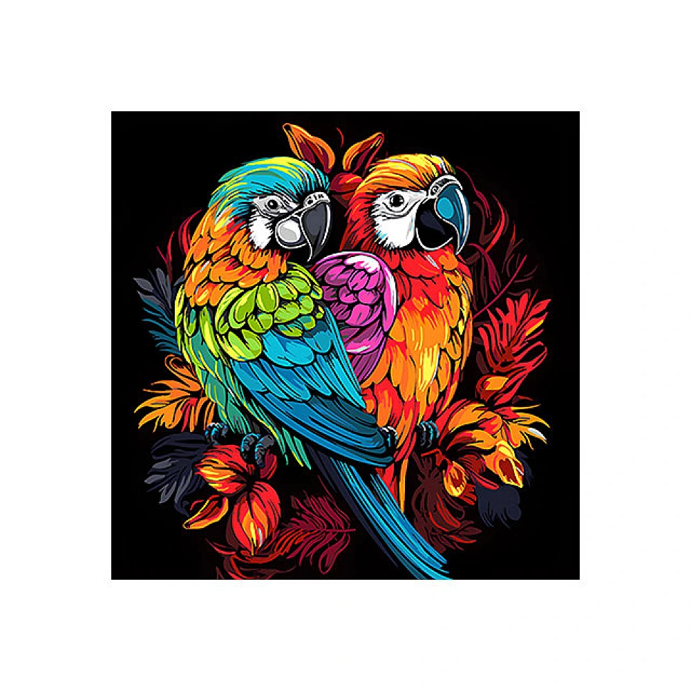 Pictura dupa numere 40X40 cm fundal negru Pasari 
