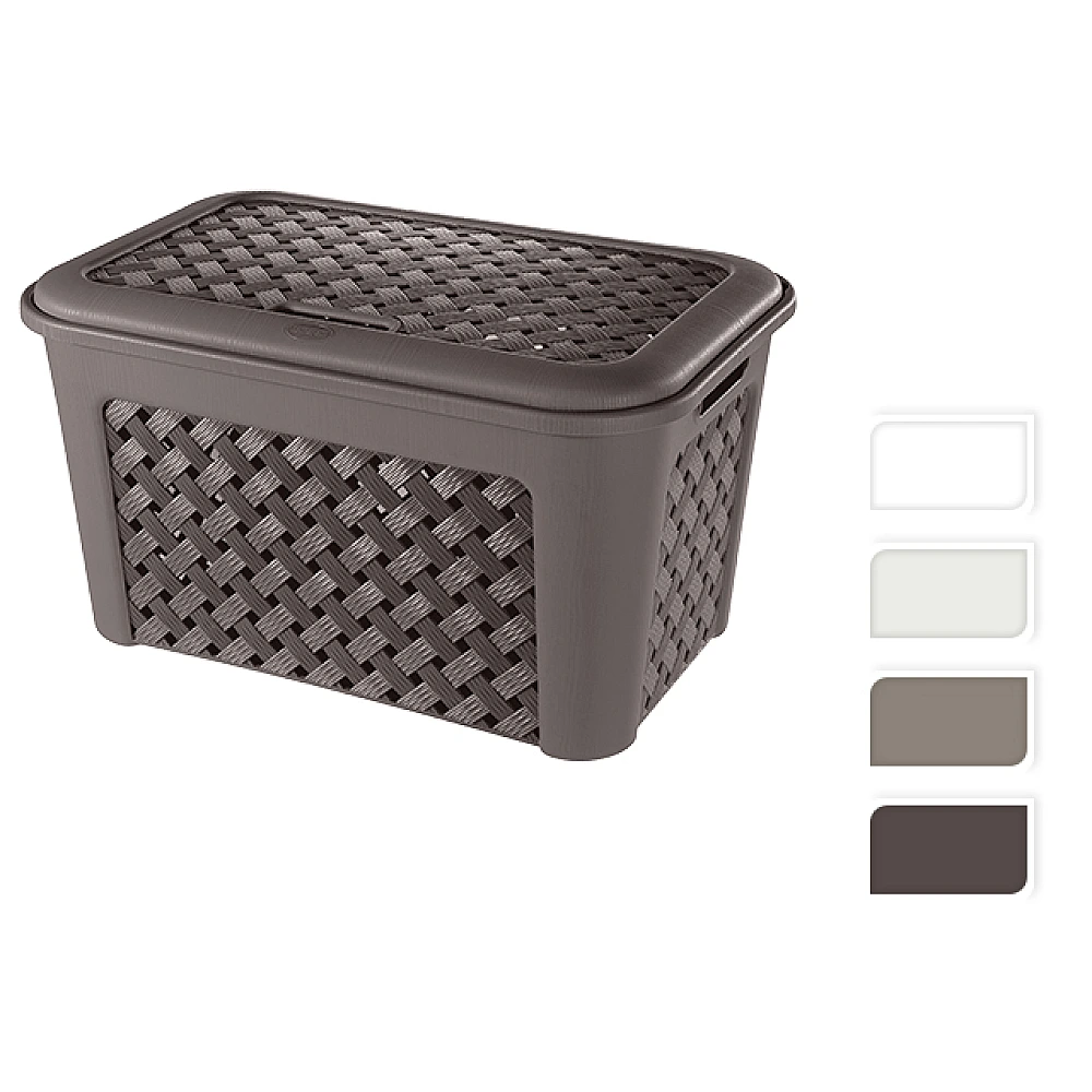 Cutie de depozitare Arianna 48.3l, 58Х38Х33cm 