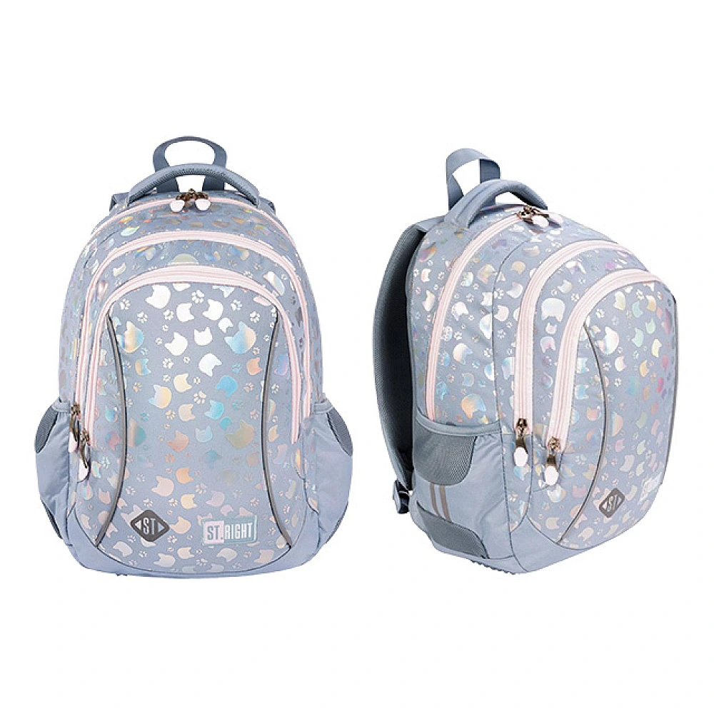 Ghiozdan scolar ortopedic 27X17X39 cm St.Right Silver Cats