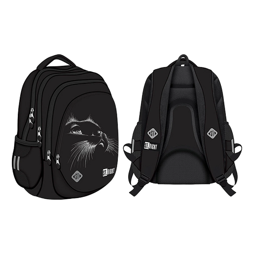 Ghiozdan scolar ortopedic 32X21X43 cm Black Cat