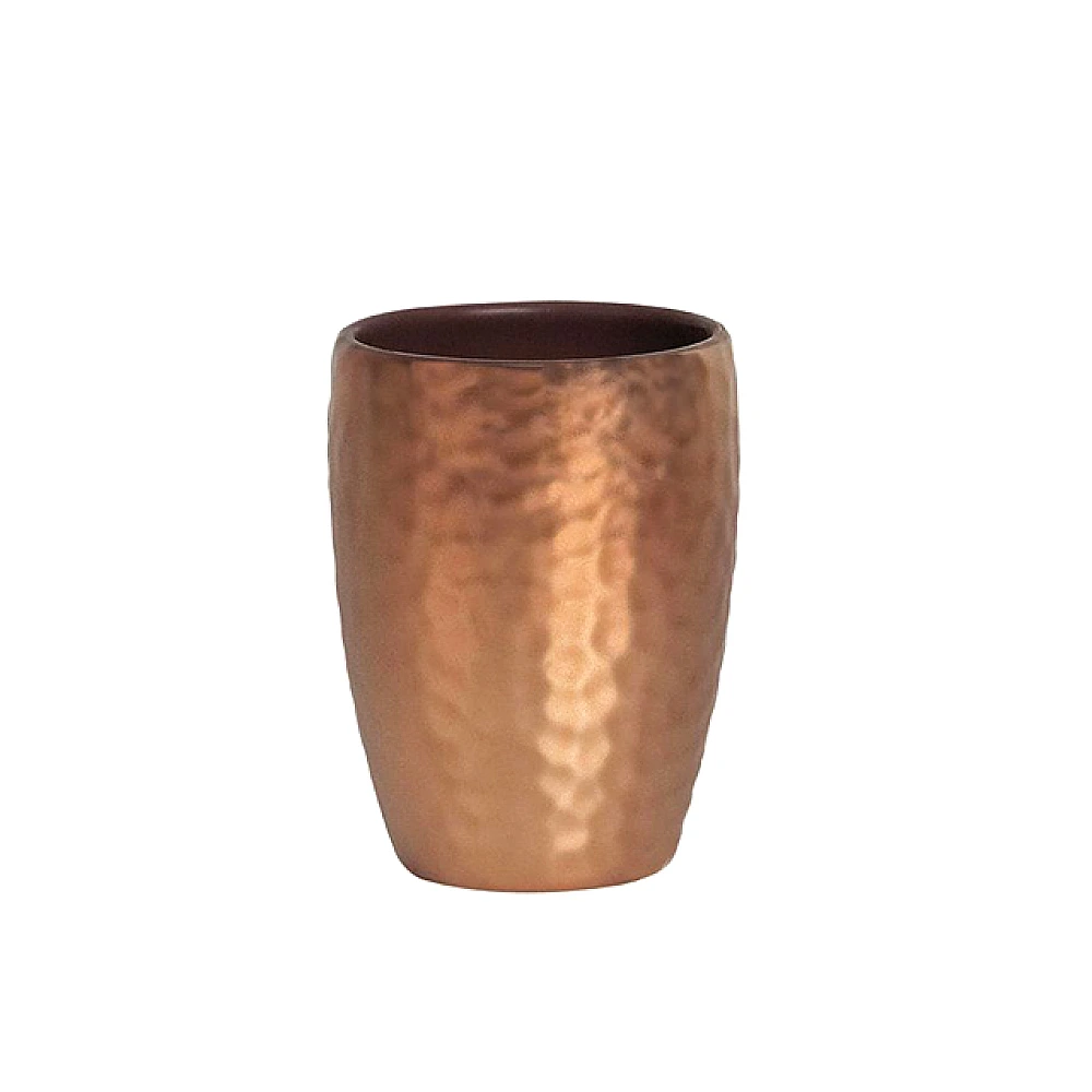 Pahar pentru periute de dinti Spirella Darvin, bronz
