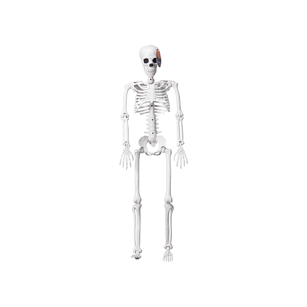 Decoratiune suspendata Halloween 
