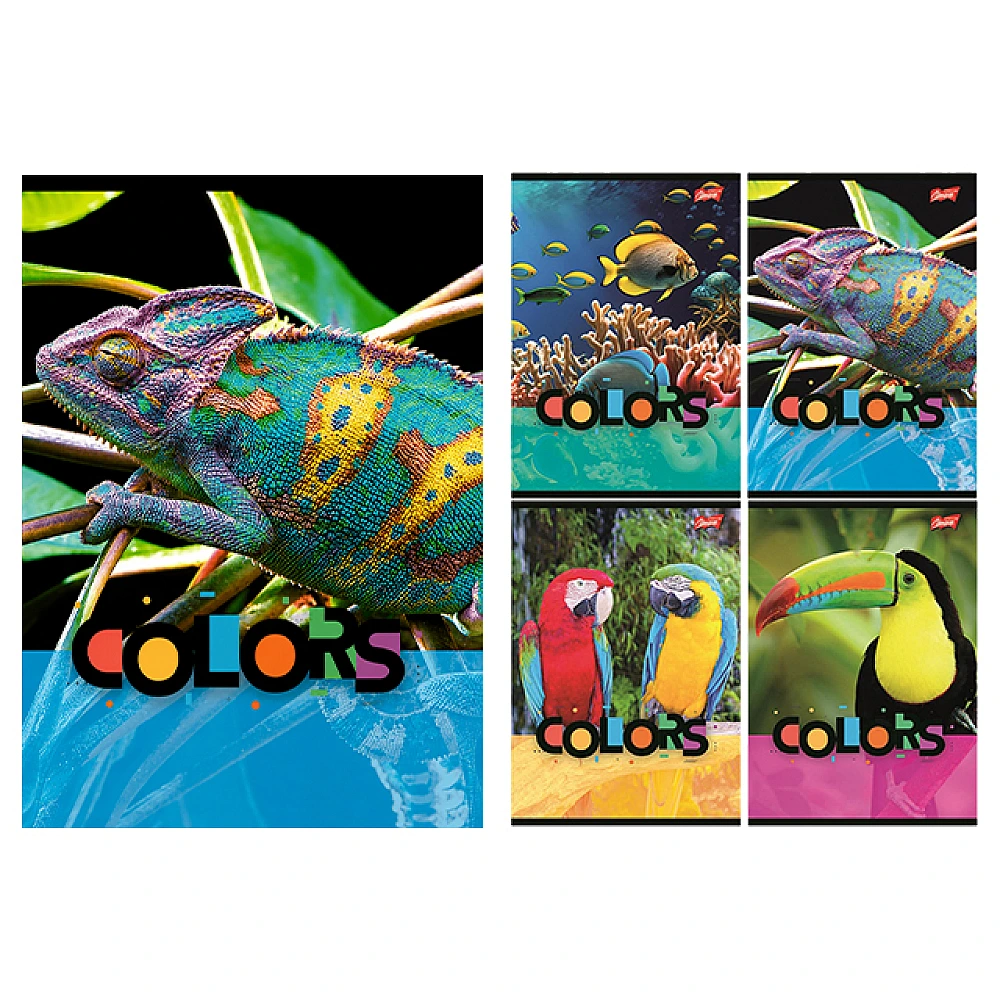 Caiet A5 32 foi patratele Exotic Colors