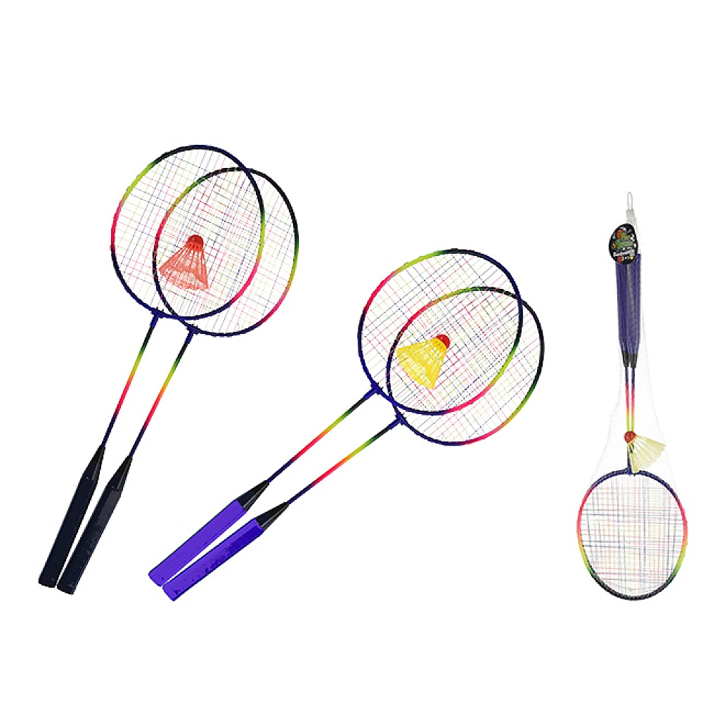 Set palete badminton si fluturas, in plasa