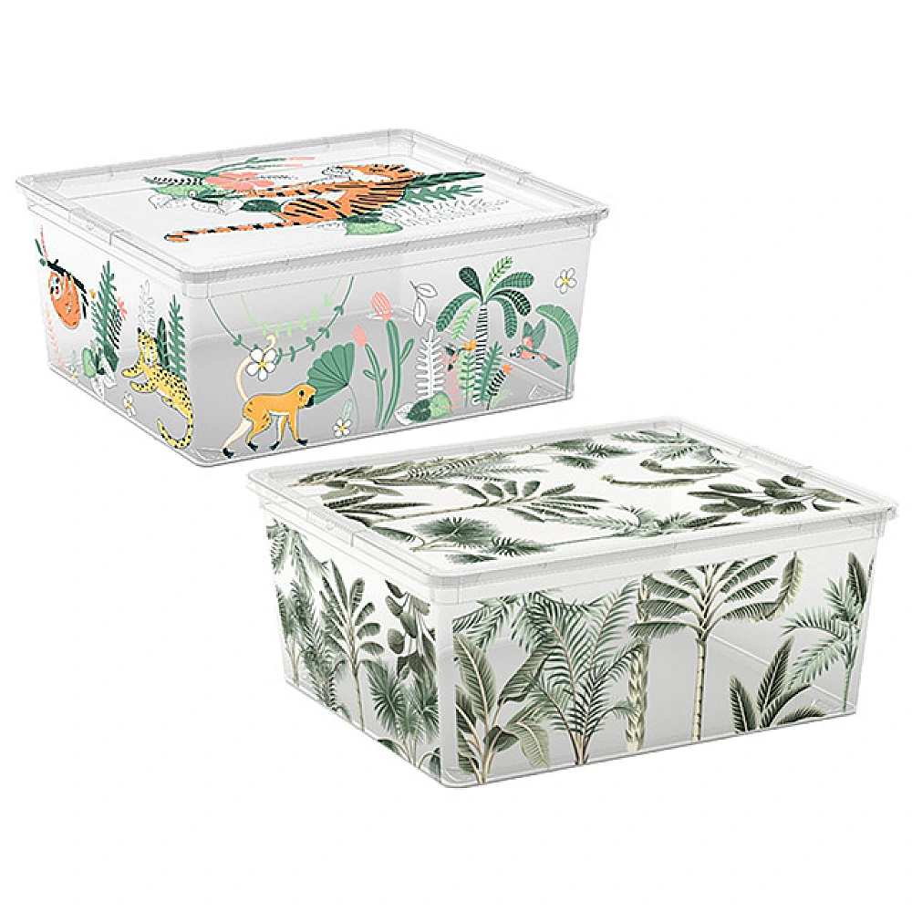 Cutie cu capac C-box Tropical M 18l, 40X34XH17cm