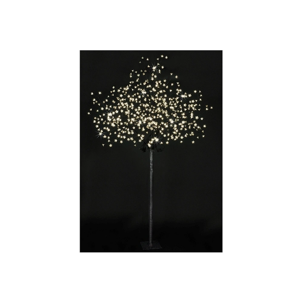 Copac decorativ coroana-