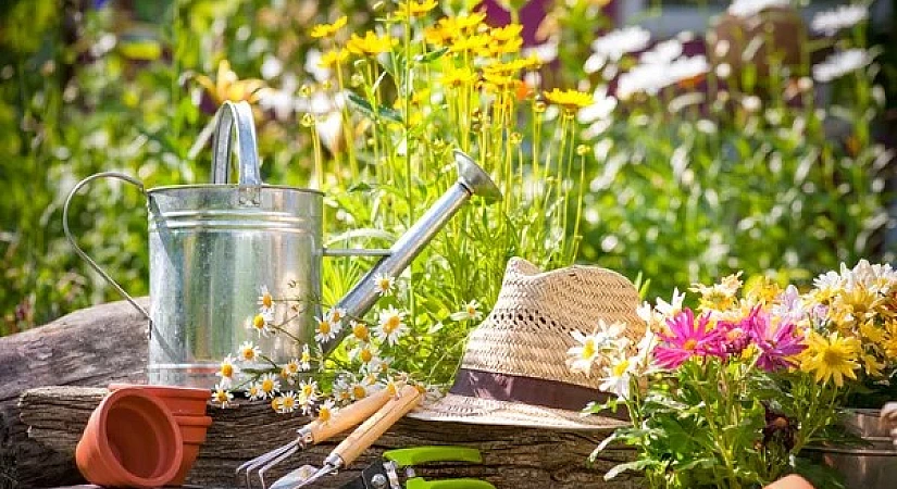 Живая связь поколений: создайте сад своей мечты с PROMSTORE