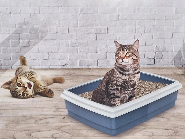 Litiera pentru pisici Cats 42X33X9cm