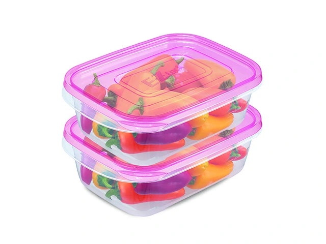 Set containere alimentare EZ Lock 2buc, 0.9l, 31X14X6cm