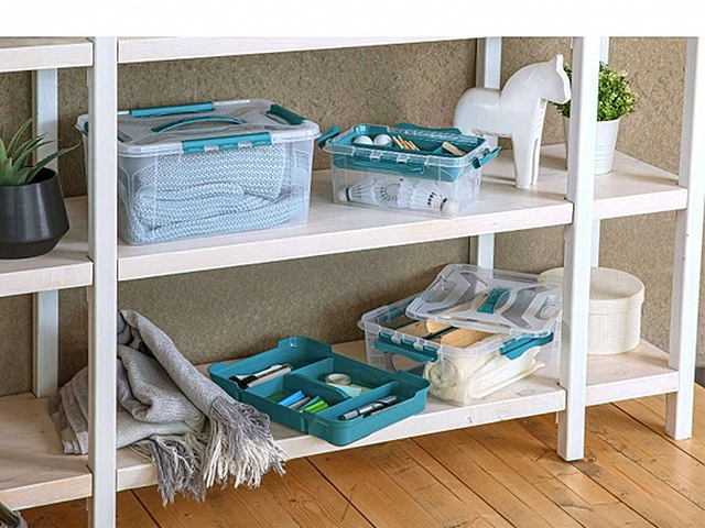 Organizator cu capac cu clame Econova Grand box 15l, 39X29X18cm