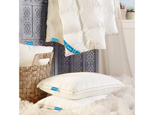 Perna 50X70 + 2.5 cm Othello Cloudia, microgel, 1000 g