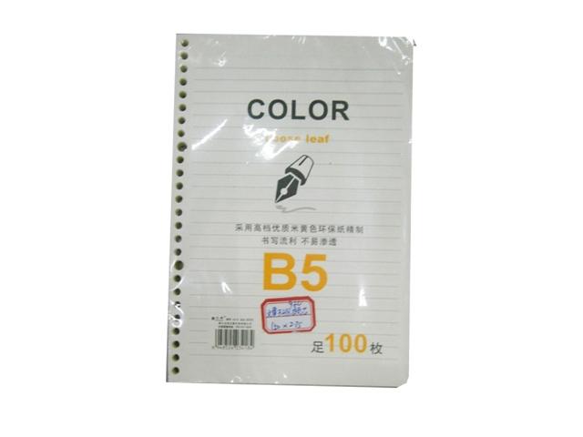 Set foi de rezerva pentru agenda B5, 17X25cm, 100f