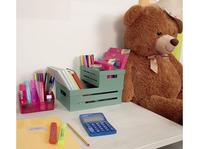 Cutie organizator Snips 5l 29.5X20X10.5 cm, verde