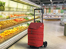 Geanta-carucior Gimi Easy 40l, 30kg, 39X39X102cm