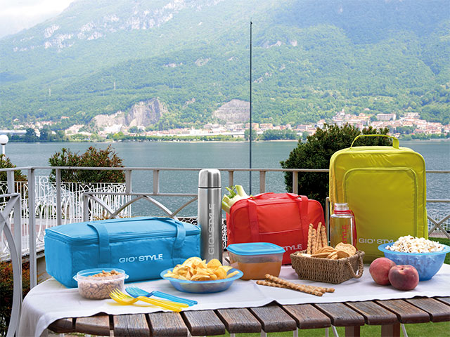 Geanta-frigorifica textila Fiesta Big 24l, h9, 40.5X19X28cm