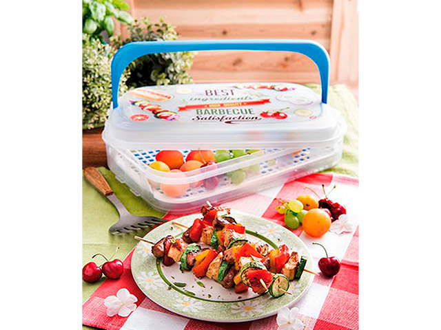 Container pentru transportarea Snips 7l 43X27.5X11cm, 2 elemente frigorifice